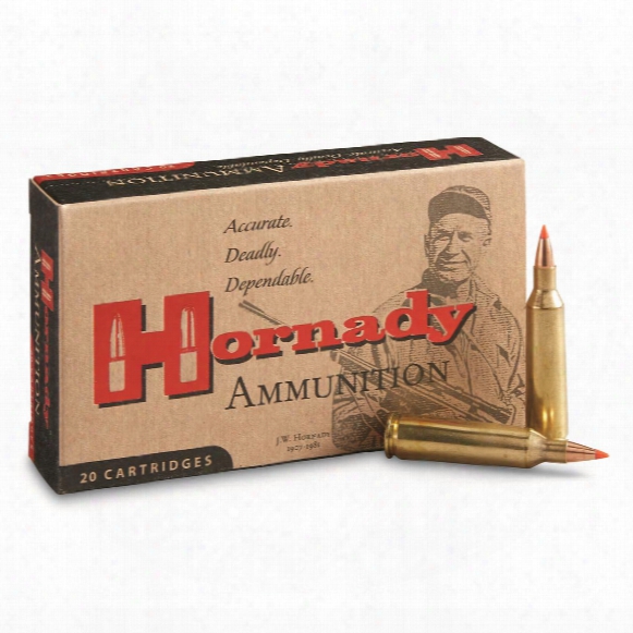 Hornady Varmint Express, .22-250 Remington, V-max, 40 Grain, 20 Rounds