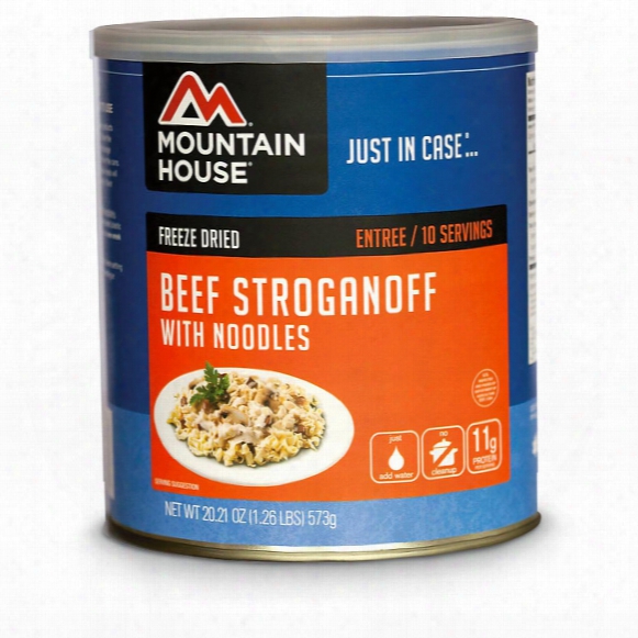 Mountain House Freeze Dried Beef Stroganoff, 10 Servings