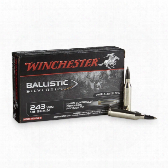 Winchester Supreme Ballistic Silvertip, .243 Winchester, Bst, 95 Grain, 20 Rounds