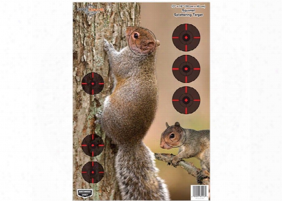 Birchwood Casey Pregame Squirrel Target, 12"x18", 8ct