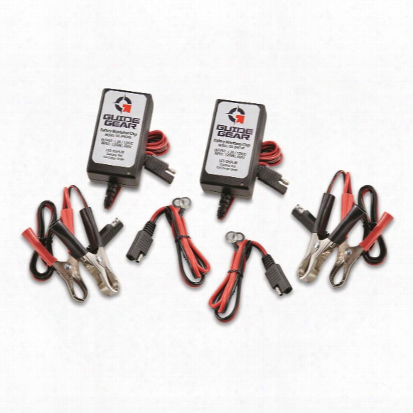 Guide Gear 1.2a Battery Charger/maintainer, 2 Pack