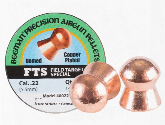 Beeman Fts Copper Plated .22 Cal, 14.72 Grains, Domed, 200ct