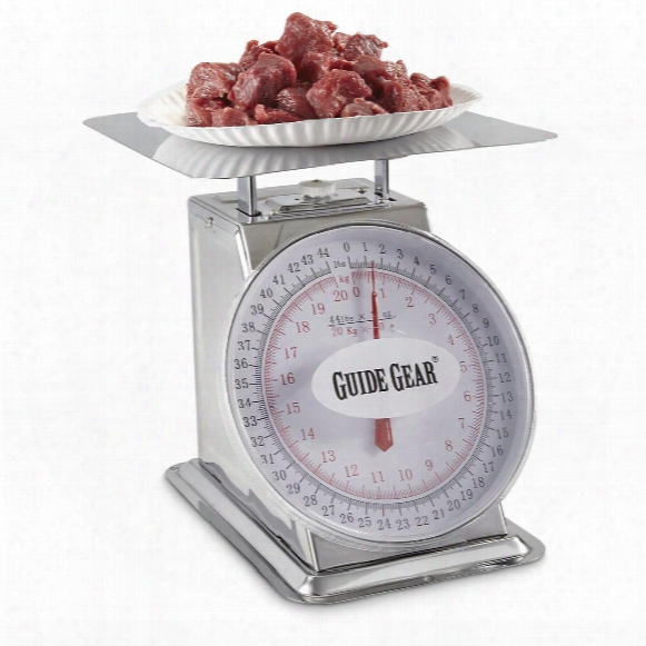 Guide Gear Stainless Steel Kitchen Food Scale, 44 Lb.