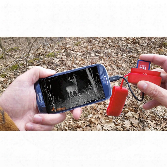 Whitetail&amp;#039;r Phoneread&amp;#039;r Android Game And Trail Camera Viewer