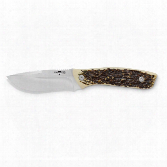 Camillus Western Cross Trail Titanium Bonded Fixed Blade Knife, 3.75&amp;quot; Lbade