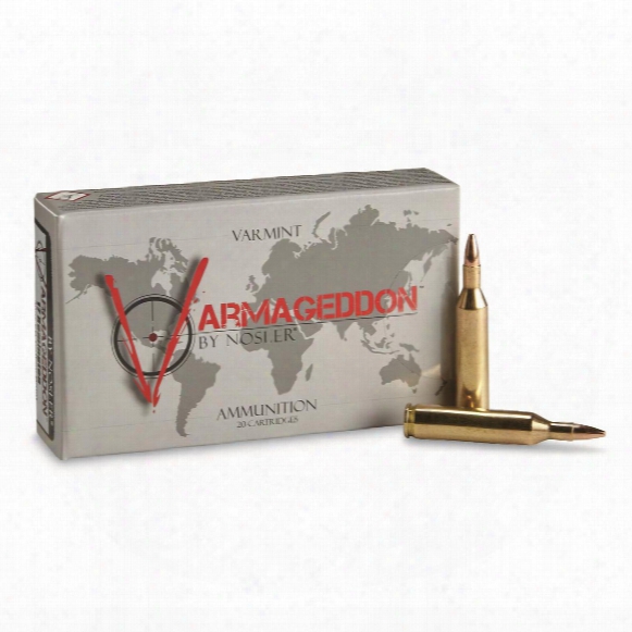 Nosler Varmageddon, .17 Remington, 20 Grain, Fbhp, 20 Rounds