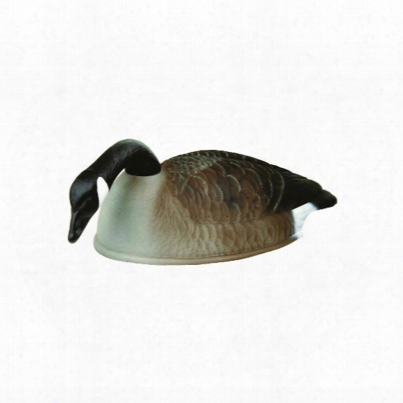 Flambeau Stormfront 24&amp;quot; Canada Goose Shell Decoys, 12 Pack