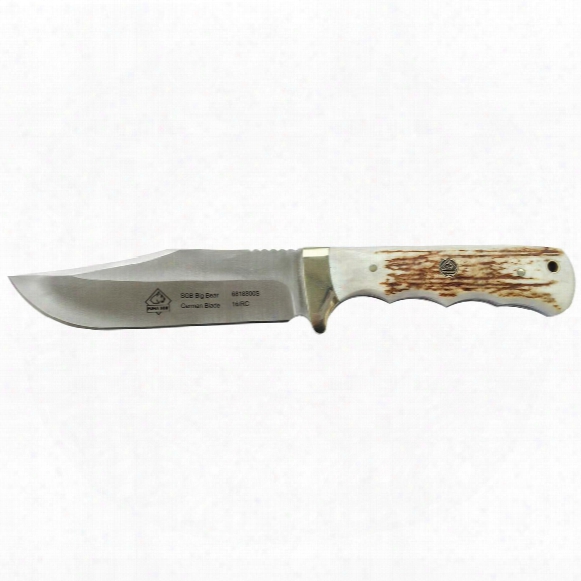 Puma Sgb Big Bear Stag Fixed-blade Hunting Knife, 5.5&amp;quot; Blade