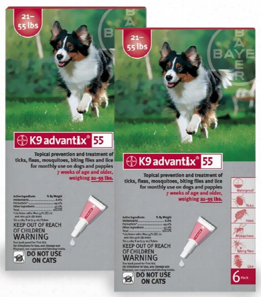 12 Month K9 Advantix Red (for Dogs 21-55lbs)