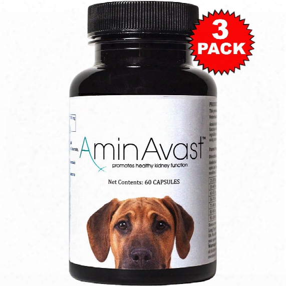 3-pack Aminavast Kidney Support For Dogs (180 Capsules)