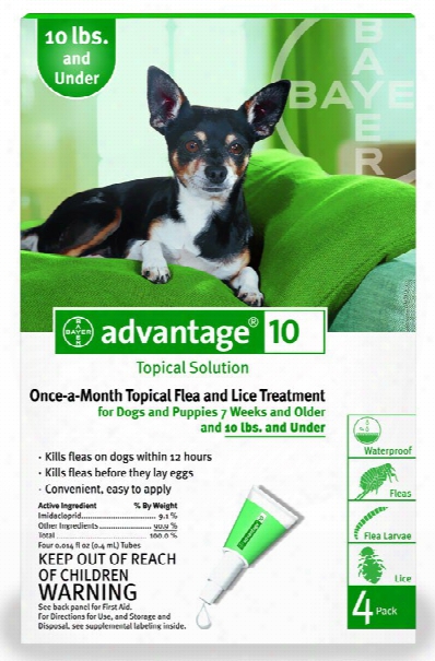 4 Month Advantage Green: For Dogs Under 10 Lbs
