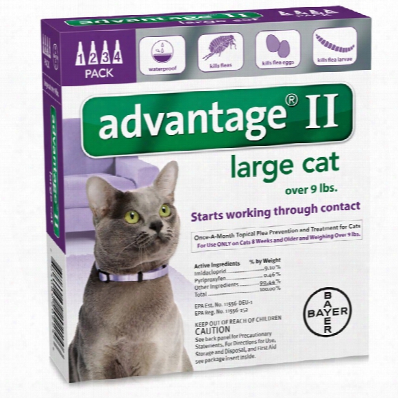 4 Month Advantage Ii Flea Control Large Cat (for Cats Over 9 Lbs.)
