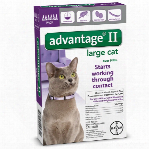 6 Month Advantage Ii Flea Control Large Cat (for Cats Over 9 Lbs.)