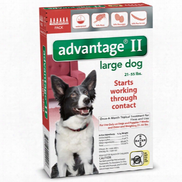 6 Month Advantage Ii Flea Control Large Dog (for Dogs 21-55 Lbs.)