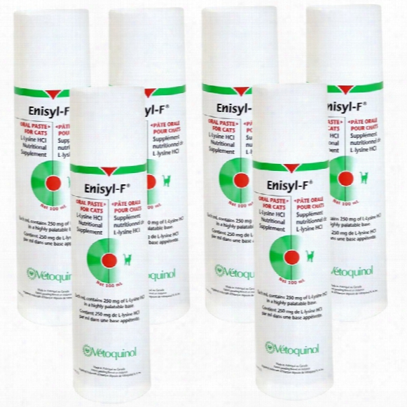6 Packs Enisyl-f Oral Paste For Cats - 600 Ml