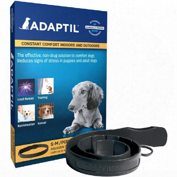 Adaptil (dap) Collar - Dog Appeasing Pheromone Small & Medium Dogs