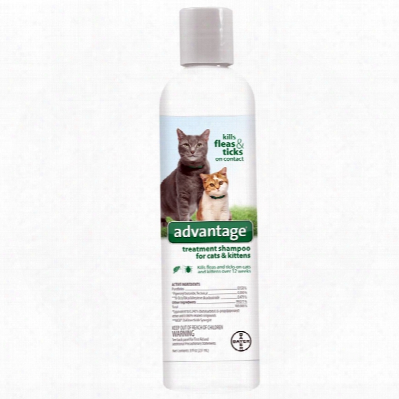 Advantage Treatment Shampoo For Cats (8 Oz)