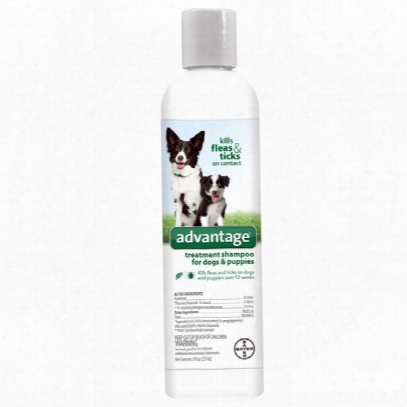 Advantage Treatment Shampoo For Dogs (8 Oz)