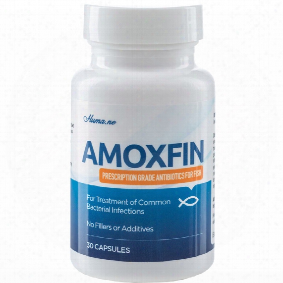 Amoxfin Fish Antibiotic (30 Capsules)