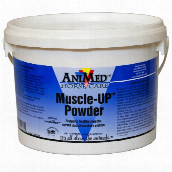Animed M Uscle-up Powder (5 Lb)