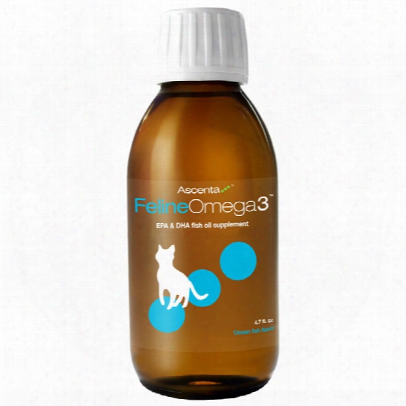 Ascenta Feline Omega-3 (4.7 Oz)