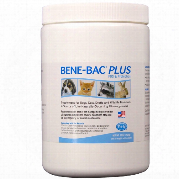 Benebac Plus Pet Powder (1 Lb)