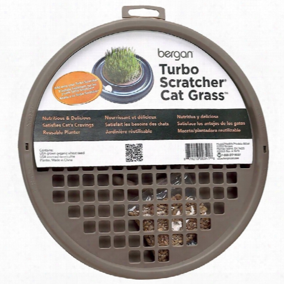 Bergan Turbo Scratcher & Star Chaser Cat Grass