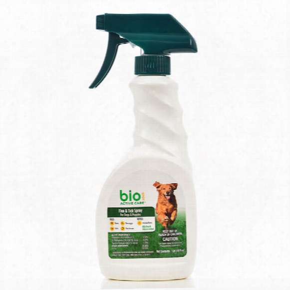 Bio Spot Active Care Flea & Tick Spray For Dogs (16 Fl Oz)