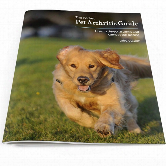 The Pocket Pet Arthritis Guide - Downloadable Digital File