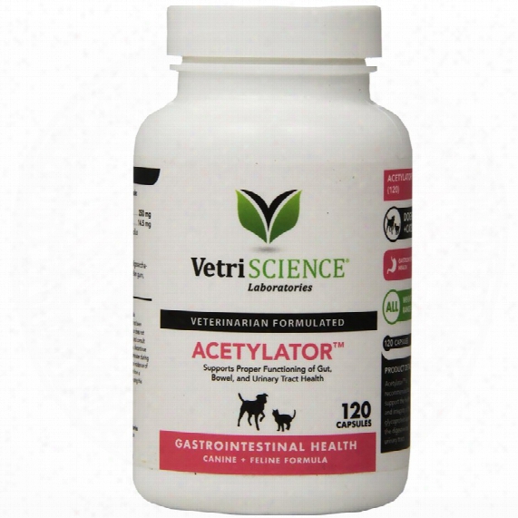Vetriscience Acetylator - For Cats And Dogs (120 Capsules)