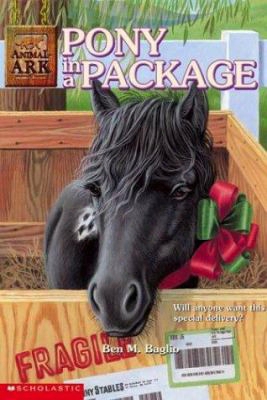 Animal Ark #27: Pony In The Package