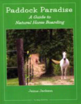 Paddock Paradise: A Guide To Natural Horse Boarding