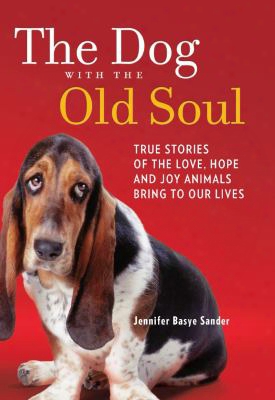 The Dog With The Old Soul: True Stories Of The Love, Hope And Joy Animals Bring To Our Lives