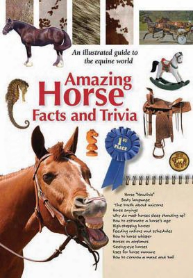 Amazing Horse Facts And Trivia
