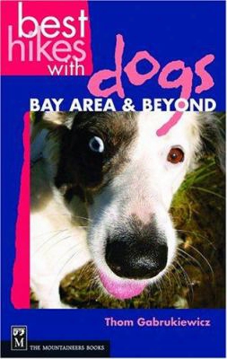 Best Hikes With Dogs Bay Area And Beyond