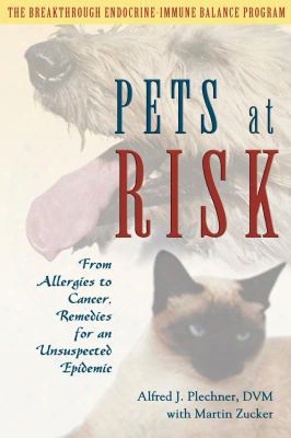 Pets At Risk: From Allergies To Cancer, Remedies For An Unsuspected Epidemic