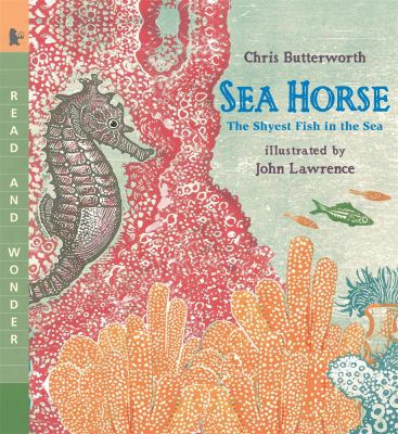 Sea Horse: The Shyest Fish In The Sea