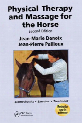Physical Therapy And Massage For The Horse