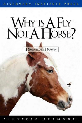Why Is A Fly Not A Horse?