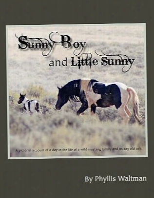 Sunny Boy And Little Sunny: A Pictorial Account Of A Day In The Life Of A Mustang Family And Its Day Old Colt