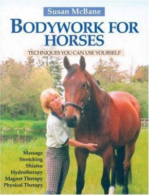 Bodywork For Horses: Echniques You Can Use Yourself