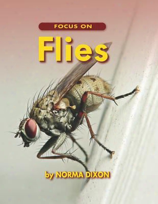 Focus On Flies
