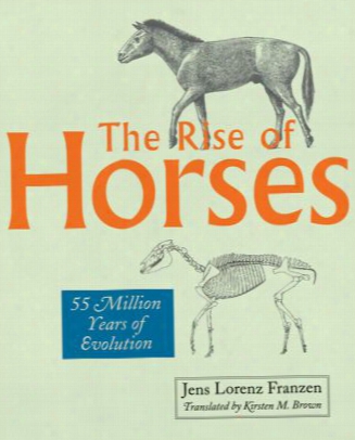 The Rise Of Horses: 55 Million Years Of Evolution