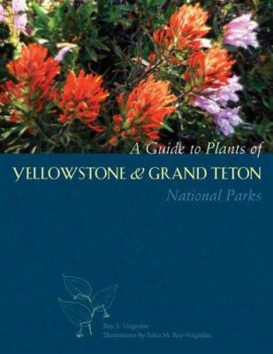 A Guide To Plants Of Yellowstone And Grand Teton National Parks: Natural History Notes And Uses