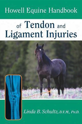 Howell Equine Handbook Of Tendon And Ligament Injuries