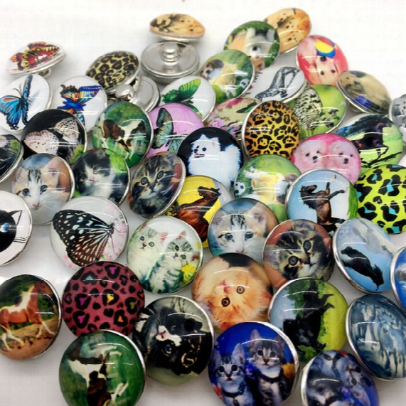 Hot Sale 30pcs 18mm Snap Button Ginger Snap Jewelry Glass Snap Chunk Button Animal Mix Style Dog Butterfly Horse Cat Etc Wholesale Lots
