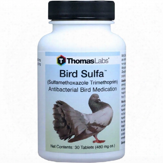 Bird Sulfa (sulfamethoxazole Trimethoprin) - 30 Tablets
