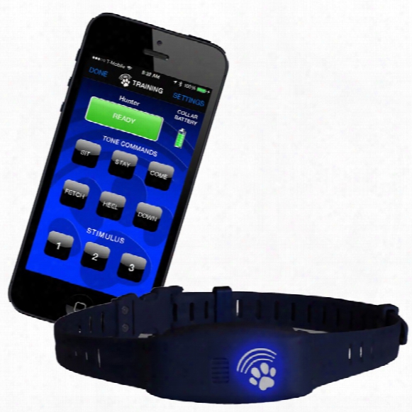 Bluefang 2 In 1 Remote Trainer & Bark Control Collar