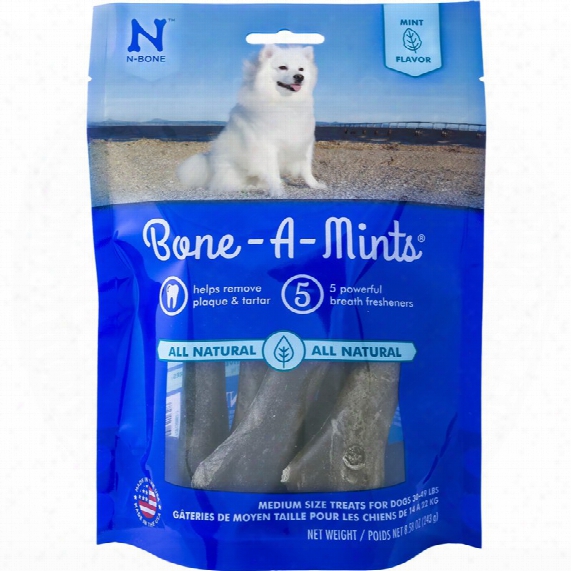 Bone A Mints Wheat Free - Medium (6-pack)
