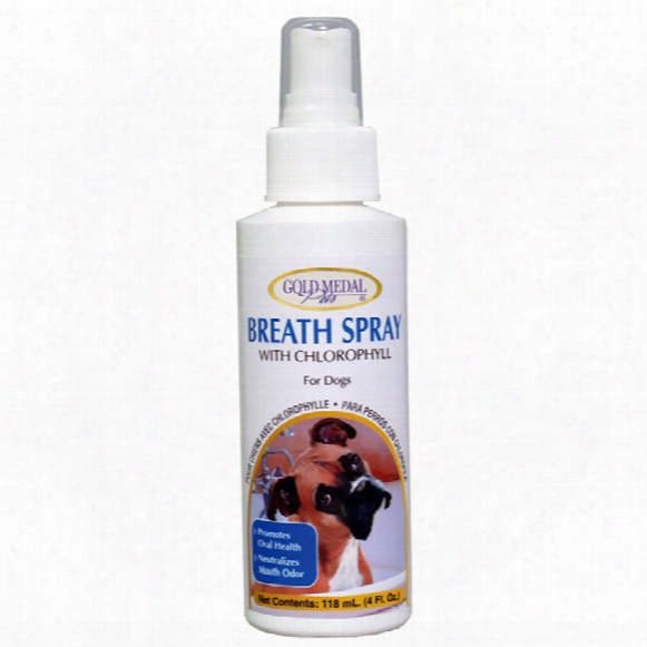 Breath Spray With Chlorophyll (4 Oz) For Dogs By Cardinal Labs
